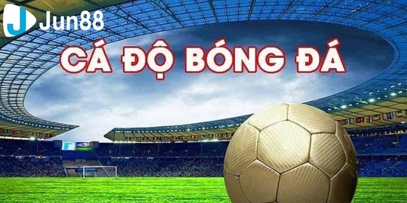 Cá Cược Thể Thao Jun88 - Sôi Động Với Tỷ Lệ Thưởng Cực Cao